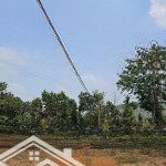 Cần bán 3ha đất vườn tiêu, cà phê, mít đang thu hoạch. cách tỉnh lộ 683 tầm 2km. bao giá