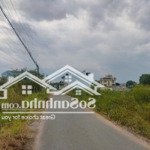 Bán đất tại nguyễn thị đành, xuân thới sơn, hóc môn, 2,4 tỷ, 110m2