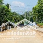 Bán đất đẹp 60,2m2 tại đồng trạng, cổ đông, sơn tây, hn, giá cực chất 1,8 tỷ