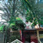 Bán biệt thự 132m2 ở phùng khoang;giá 30.5 tỷ;lh phú trần 0978314686