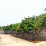 Bán đất 2072m tdp mịn to trù hựu thị xã chũ bắc giang 0982188151