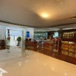 Pl bàn cờ nguyễn thị định, vỉa hè ô tô, làm toà văn phòng hay cho thuê dt cực ổn 120m mt 9m 55 tỷ