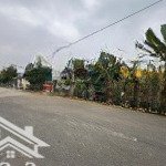 Sở hữu ngay lô đất vàng ba vì, vị trí đắc địa, đầu tư sinh lời, giá siêu tốt