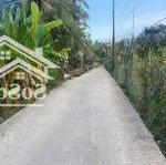 Bán 1165m2 đất lúa đường oto thuộc xã vĩnh công , châu thành , long an _ diện tích : 18 x 65m2.