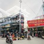 Gà đẻ trứng vàng chung cư mini kim chung đông anh đối diện khu công nghiệp bắc thong long