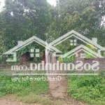 Chính chủ gửi bán lô đất 625m có 50m ont tại tân vinh lương sơn hoà bình , sẵn nhà cấp 4 trong đất