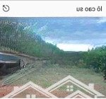 Chính chủ cần bán nhanh lô đất rẫy 7ha tại đăk hà, kon tum