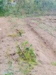 Bán đất quán trạch - liên nghĩa - văn giang - hưng yên - 420m - giá đầu tư phân lô
