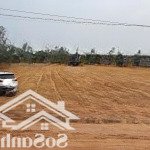Bán đất tại xã hướng đạo, tam dương, vĩnh phúc, 36,5 tỷ, 6000 m2 hot!
