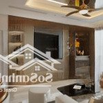 Cần bán căn hộ oriental plaza, tân phú. dt: 85m2, 2pn/2wc. giá 3 tỷ 150. liên hệ 0773 694 806