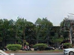 Mặt tiền cộng hòa q. tân bình (27x50m - cn 1.350m2 ctxd 2 hầm. 15 tầng) hđt 400 triệu - giá 180 tỷ