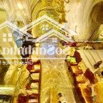 Bán biệt thự vường đào tại đường lạc long quân - tây hồ