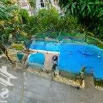 Cho thuê villa sân vườn hồ bơi full nội thất cao cấp - villa for rent 5b 6wc - swimming pool garden