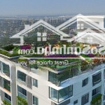 Cho thuê căn hộ res green tower : dt 65m2. 2pn giá 13 trth lh 0909.563.784 ( chính chủ )