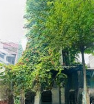 Chính chủ gửi bán nhà 5 tầng mt đường đá mọc 1, p hòa minh, q liên chiểu, đà nẵng