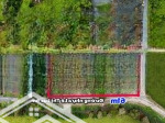 1700m2 có 297m2 thổ, lô góc 2 mt đường nhựa, ngang 61m, phân lô được 12 lô, làm nhà vườn, biệt thự