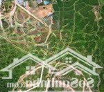 Bán trang trại đẹp tại tiến xuân, giá thỏa thuận, hơn 1 ha, nhiều tiện ích
