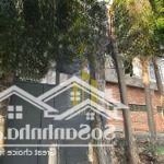 Villa thảo điền đầy đủ nội thất sân vườn giá 45 triệu