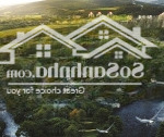 Bán biệt thự khu p ciputra hà nội, 320 triệu/m2, diện tích 300m2