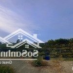 Bán đất đẹp giá tốt thôn đông hà, cẩm kim, hội an