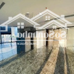 Căn hộ 3pn siêu đẹp 162m² ban công 33m² tại sunshine golden river, ciputra