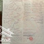 Tôi có 02 lô đất nông nghiệp bán với tổng diện tích sử dụng là 141.256m2 tại ninh phước