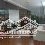 Bán căn hộ chung cư cao cấp toà roman plaza tố hữu nam từ liêm gồm 3 pn 2wc nội thất đẹp giá tốt