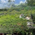 Chủ cần tiền gấp bán lỗ đất mt đường ấp trung, cần giuộc, long an, 335 triệu, 81m2