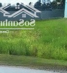 Chính chủ ra nhanh lô đất gần chợ phú nhuận mtđ.cầu nhà việc phú nhuận bến tre 120m2/480tr shr