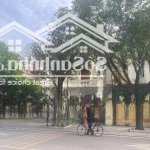 Bán biệt thự bt8 mặt phố bùi thiện ngộ, 228m2 vị trí vip nhất khu đô thị việt hưng