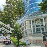 Bán tòa nhà building 2mt ngay trần hưng đạo, q. 1 - 14x32m, 2 hầm 10 tầng, hđt 1 tỷ/th, 290 tỷ