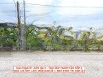 2 nền đất phan thái quý đường 30m, kế 4 trường học phú cường, đầy đủ tiện ích, 10x33m, full thổ cư