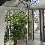 Bán nhà mặt tiền đường lê chân trung tâm tp nha trang giá chỉ 6 tỷ