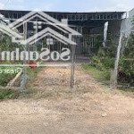 Bán đất thổ cư tại xã đại phước, nhơn trạch, đồng nai, dt 153m , đường bê tông 2 oto tránh nhau