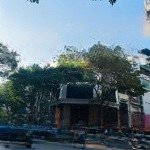 Mặt phố tuệ tĩnh 205m2 mt 8.5m gpxd 8 nổi 1 hầm 175 tỷ