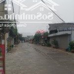 đất nguyên khê -đông anh đất lô góc vuông đẹp như hoa hậu