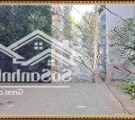 Bán nhà ngõ 61 phố lạc trung, hai bà trưng, hà nội, phân lô vip, 80m2 x 4t, mt 5m, giá dưới 24,5 tỷ