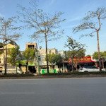 Mặt phố ngô gia tự - long biên vỉa hè rộng kinh doanh tốt. dt56m giá rất tốt.