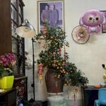 Phân lô thái hà đống đa vị trí rất đẹp 2 mặt ngõ đều ô tô gần mặt phố kinh doanh đẹp 86m2, hơn 31 tỷ