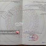 Mặt đường nhựa trục chính hải thành 2