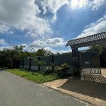 Bán nhà 667 ấp bầu trâu, phước thạnh tây ninh. 0933 520 896