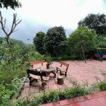 Bán đất tại yên bài, ba vì, hà nội, 3 tỷ, 550m2, pháp lý đầy đủ