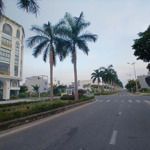Chào bán 2 lô đường hàng dừa (29/3) hoà xuân, cẩm lệ