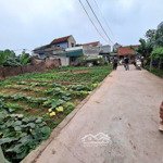 Cần bán lô đất 43.5m tự nhiên, gần chợ.
