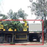 Cho thuê mặt bằng 15x20 mặt tiền hoàng văn thụ, phường chánh nghĩa