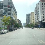 Cho thuê nhà đẹp mt: 8m dt: 100m2 phố tô hiệu, đoạn đẹp vỉa hè rộng