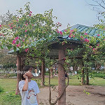 Bán chung cư 3 ngủ tại thanh hà mường thanh, 3,1 tỷ, 82 m2, 2wc, view hồ sen.