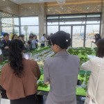 Bán căn 77m giá rẻ hơn thị trường hoàng huy green giá 6tỷ 179triệu