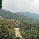 Siêu phẩm nghỉ dưỡng viu cánh đồng siêu hiếm, tại hòa lạc gần các trường đh lớn tại cnc hòa lạc