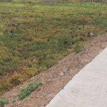Bán lô góc đầu tư hai mặt tiền quy đức, bình chánh